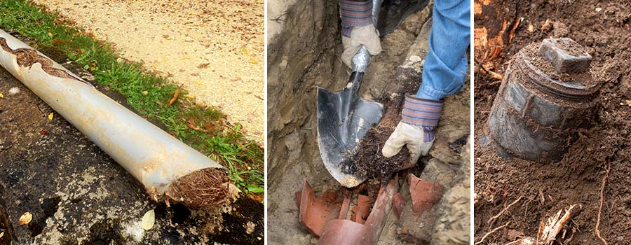 4122-sewer-septic-drain-service-17253854408436.jpg