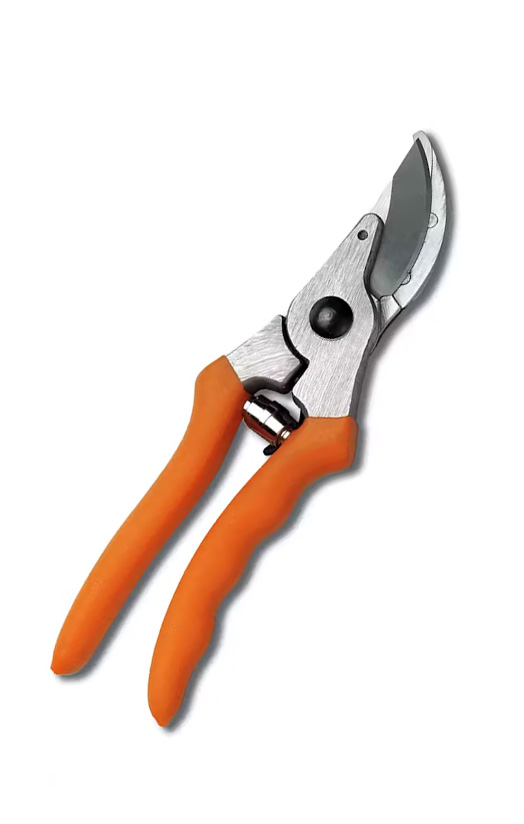 Stihl PP 10 Hand Pruner