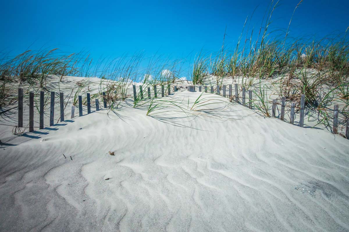 r126-windy-sand-dunes-beach-16752884876269.jpg